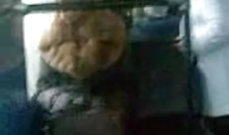 Aku akan membiarkan anda ibadah video bokep janda kampung ini kaki sempurna