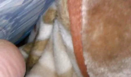 toket besar kulit download video bokep tante sange hitam pantat