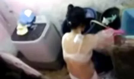 Dua wanita gemuk menghisap dan fuck keras bokepindotante tiga cocks